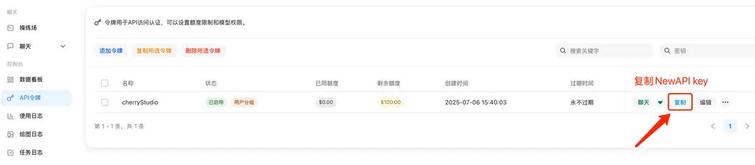 复制 API 密钥